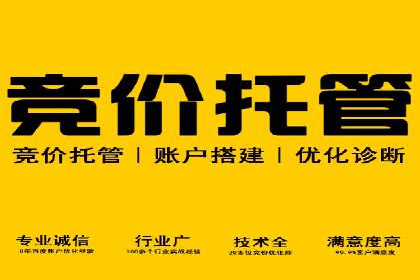 提升点击率：SEM竞价广告案例详解